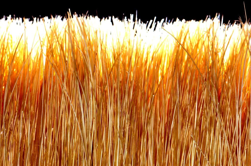 A short stiff drybrush